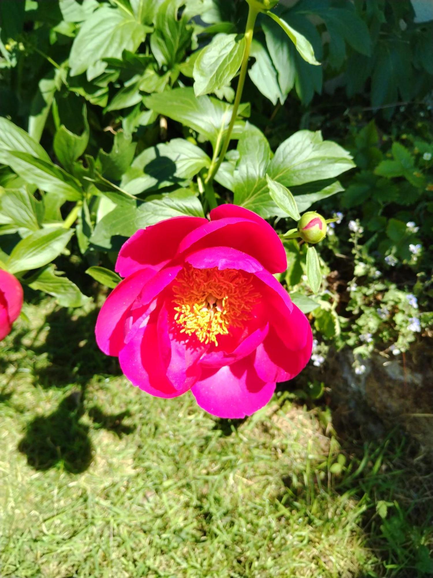 Accommodation A La Ferme Lubersac 外观 照片